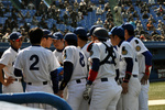 2011年東都大学野球春季リーグ戦